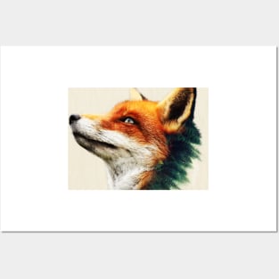 Fox Posters and Art